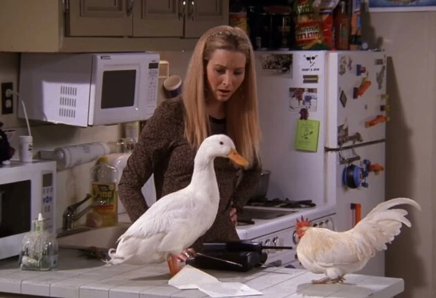 Изображение из 5 сезона сериала Друзья