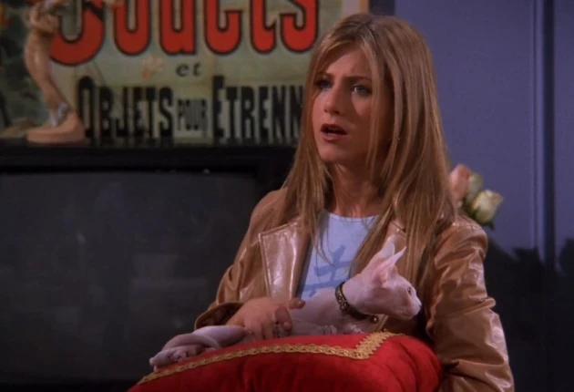 Картинки из 21 серии 5 сезона сериала Друзья